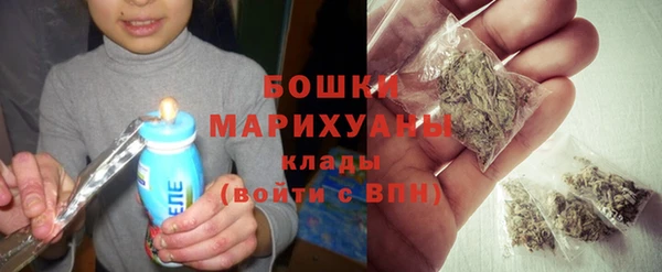 трава Арсеньев