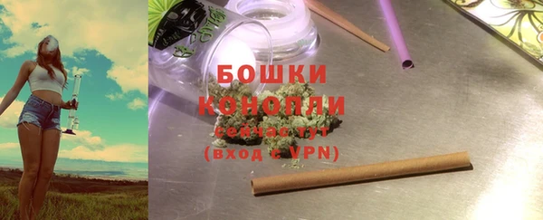 трава Арсеньев