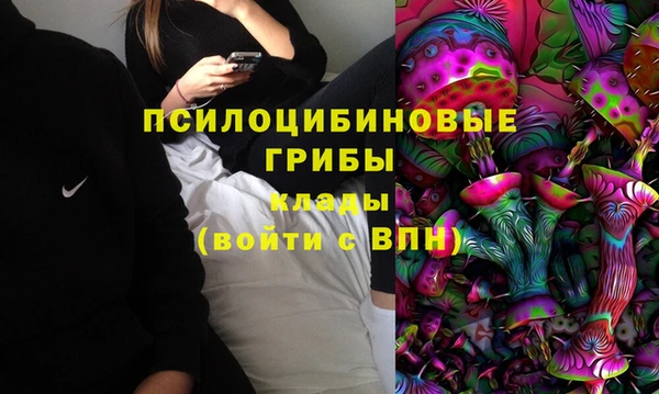 шишки Армянск