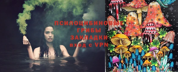 амф Аркадак