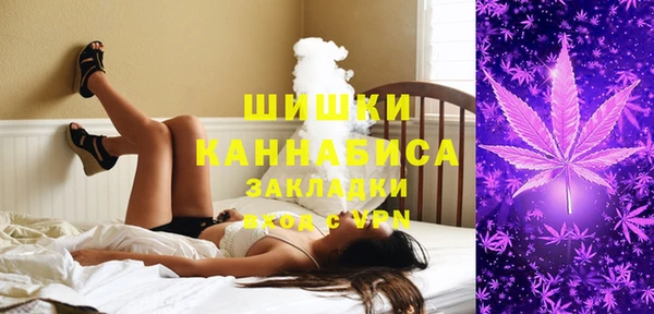 шишки Армянск