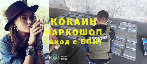 шишки Армянск