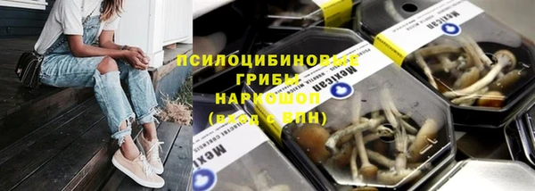 шишки Армянск