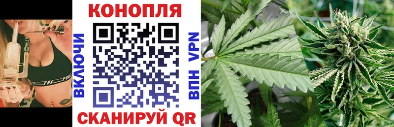 блэк спрут вход Курган Марихуана сатива